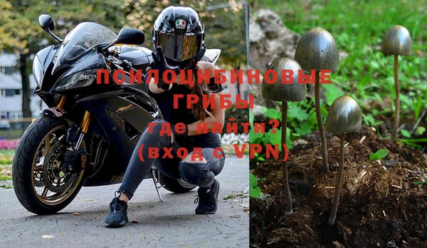 СК Волоколамск
