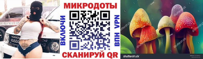 Псилоцибиновые грибы Psilocybine cubensis Купить закладки Дедовск